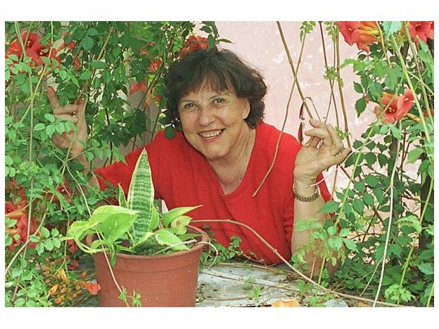 Encuentro «Memoria y Derechos&nbsp;Humanos»