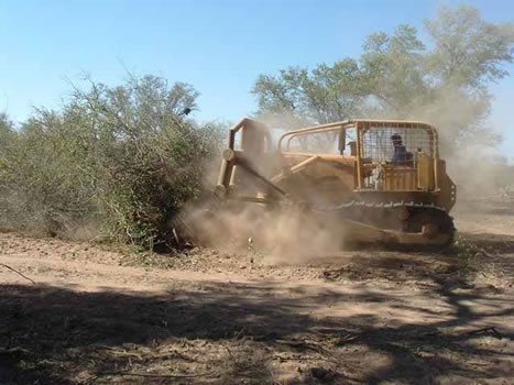 Capacitación en delitos&nbsp;ecológicos