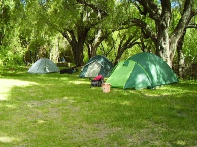 campamento FJC