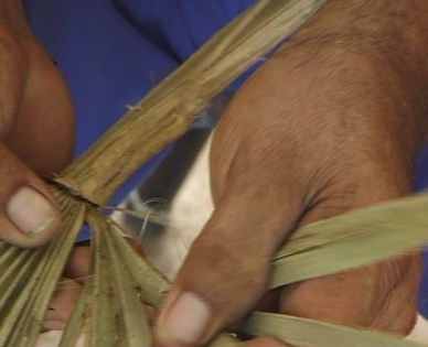 palma caranday artesanias