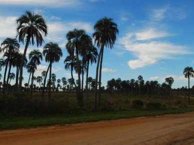 colon entre rios turismo