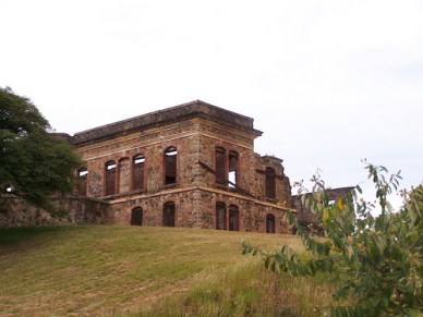 FOTO. 2008. Cintia Estefania Alvarez Fuente: http://www.flickr.com/photos/cintiaestefania/2379841753/in/set-72157604138127756