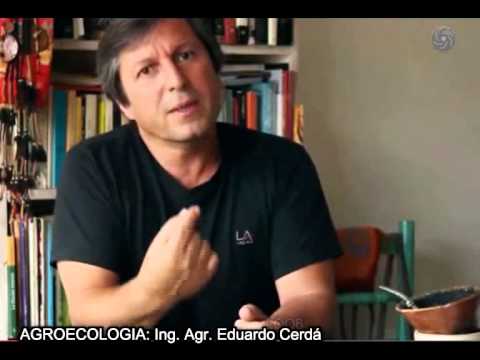 cerdá agricultura ecologia