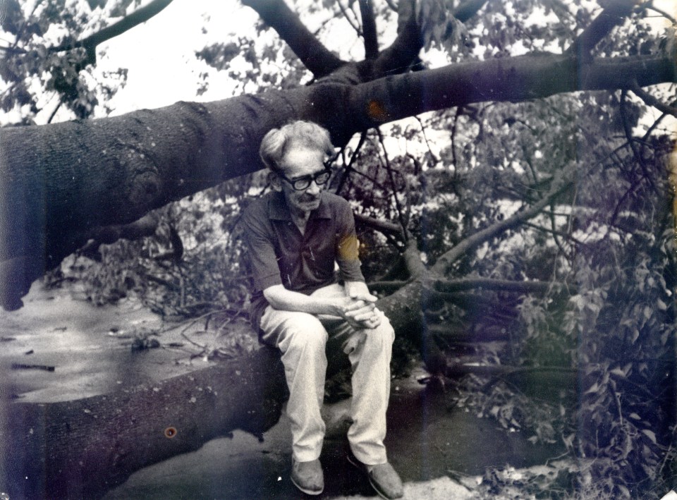 Juan l ortiz literatura