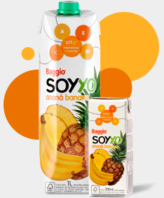 Despidos en Baggio: dictaron Conciliación&nbsp;Obligatoria