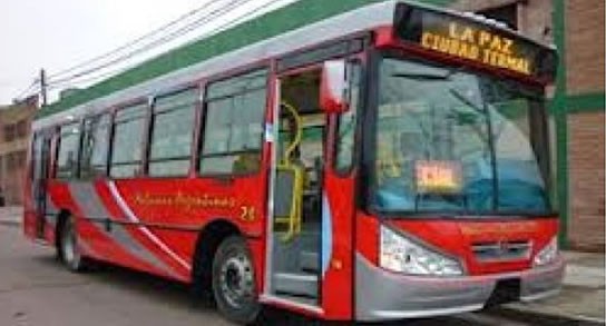 colectivo malvinas argenmtinas la paz