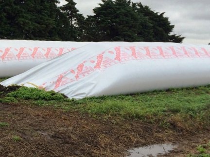 La producción primaria y los mercados&nbsp;globales