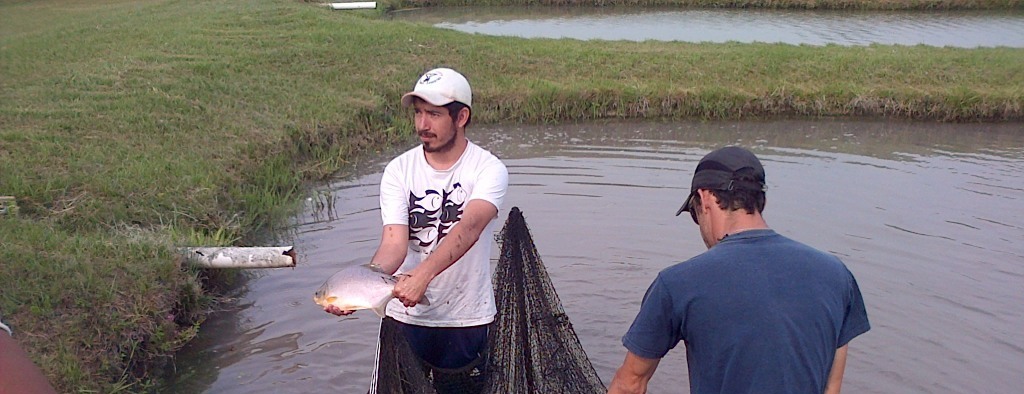 Cría de peces: pescadores se capacitaron en&nbsp;Corrientes