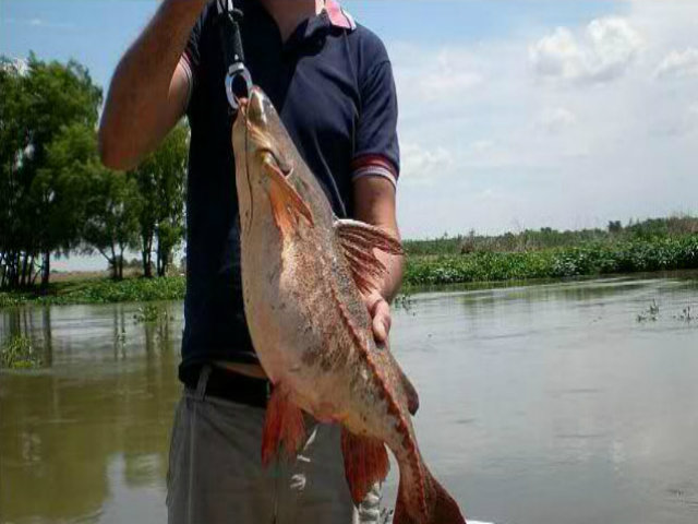 Pescadores artesanales: nuevo&nbsp;carnet