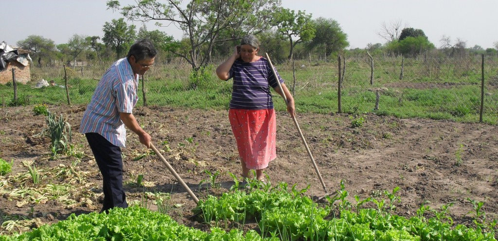Campesinos, una batalla cultural, política y&nbsp;económica