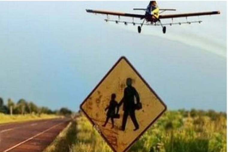 Estela Lemes fumigaciones