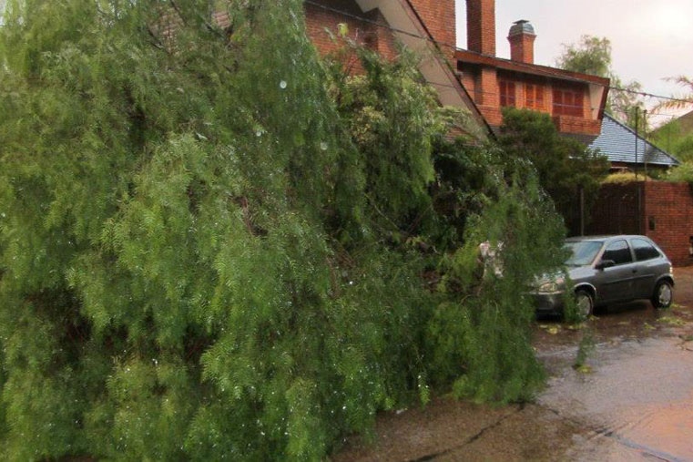 tormenta concepción del uruguay