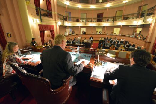 diputados impuestos inmobiliario automotor