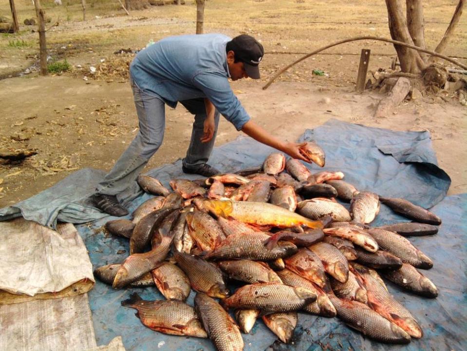pesca ilegal policía delta