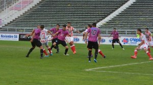 el gato mar del plata