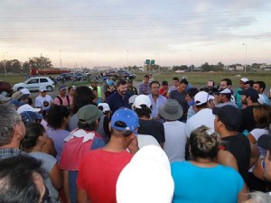 schunk camejo citrus