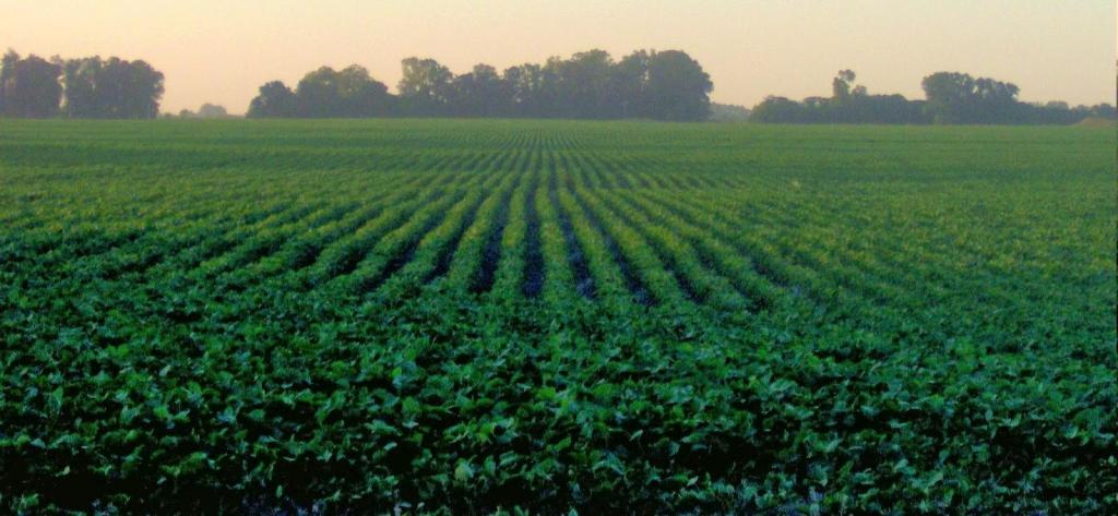 Jornada sobre ecología y&nbsp;agronegocio