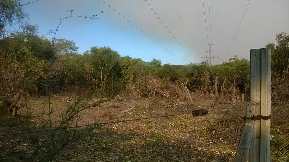 Denunciaron desmontes en la Toma Vieja de&nbsp;Paraná