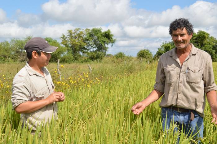 La Criolla y San Javier: alternativas productivas sin&nbsp;agroquímicos