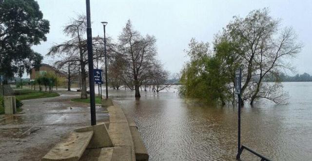Concordia: el Río Uruguay superó los 8&nbsp;metros