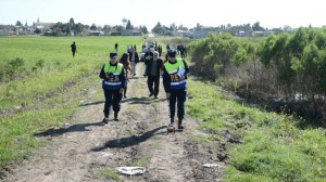 priscila hartman san benito