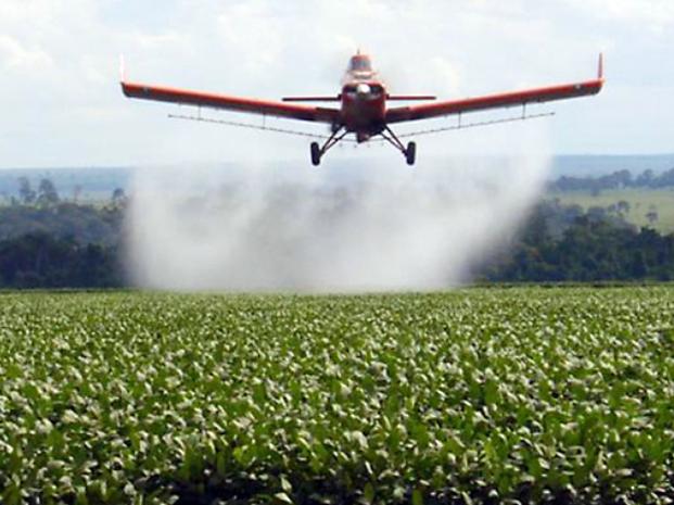 agroquímicos cáncer