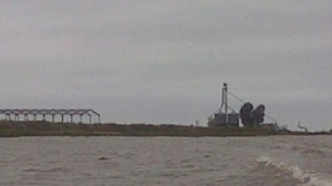 Funcionarios de la comuna llegaron hasta el islote donde la empresa holandesa Bema Agri BV realiza actividades agropecuarias