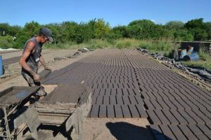 ladrilleros miguel david