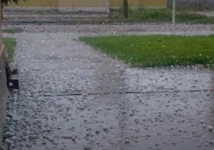 tormenta conscripto bernardi