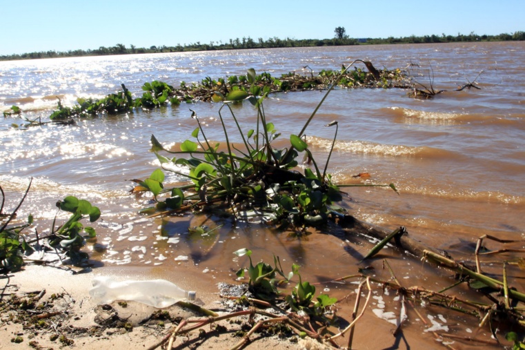 Cerraron tres pasos fronterizos sobre el río&nbsp;Uruguay
