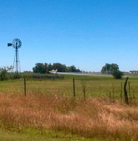 El Foro Ecologista interpuso un amparo&nbsp;ambiental