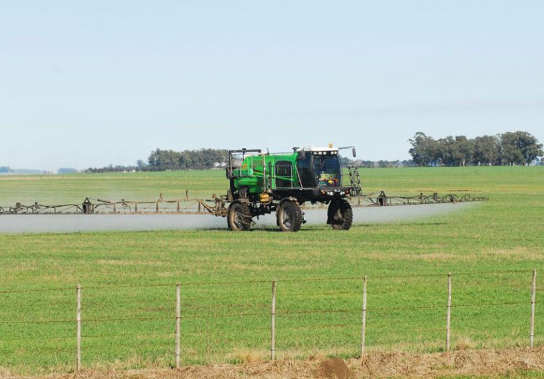 El impacto de las&nbsp;fumigaciones