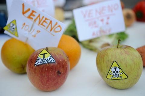 ¿Comida o basura? La máquina de generar&nbsp;enfermedad