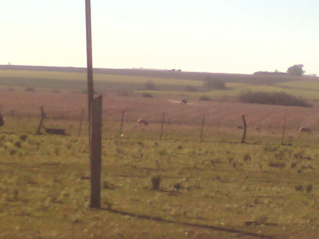 Personas afectadas por fumigación al lado de escuela de Rincón de&nbsp;Doll