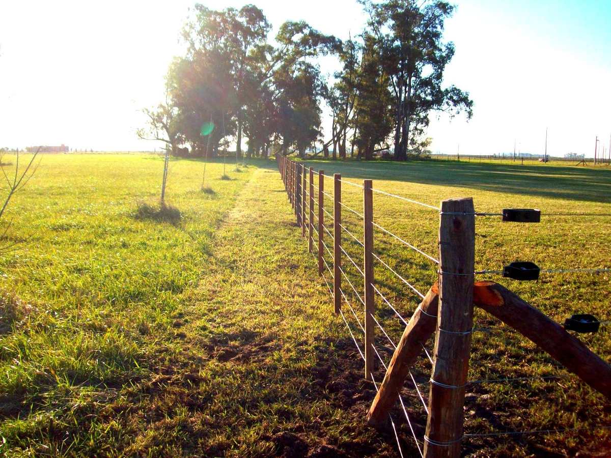 alambrado-de-campo