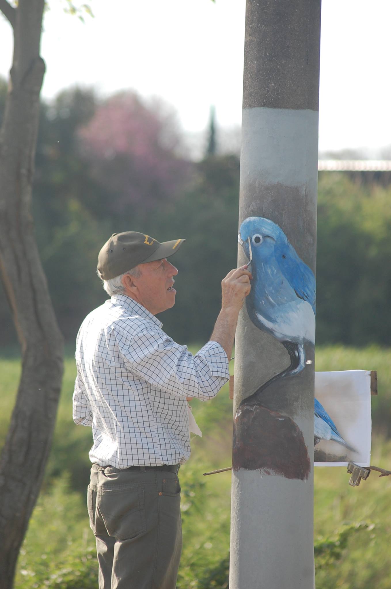 14525085_10154717990018694_8472361852730827366_o