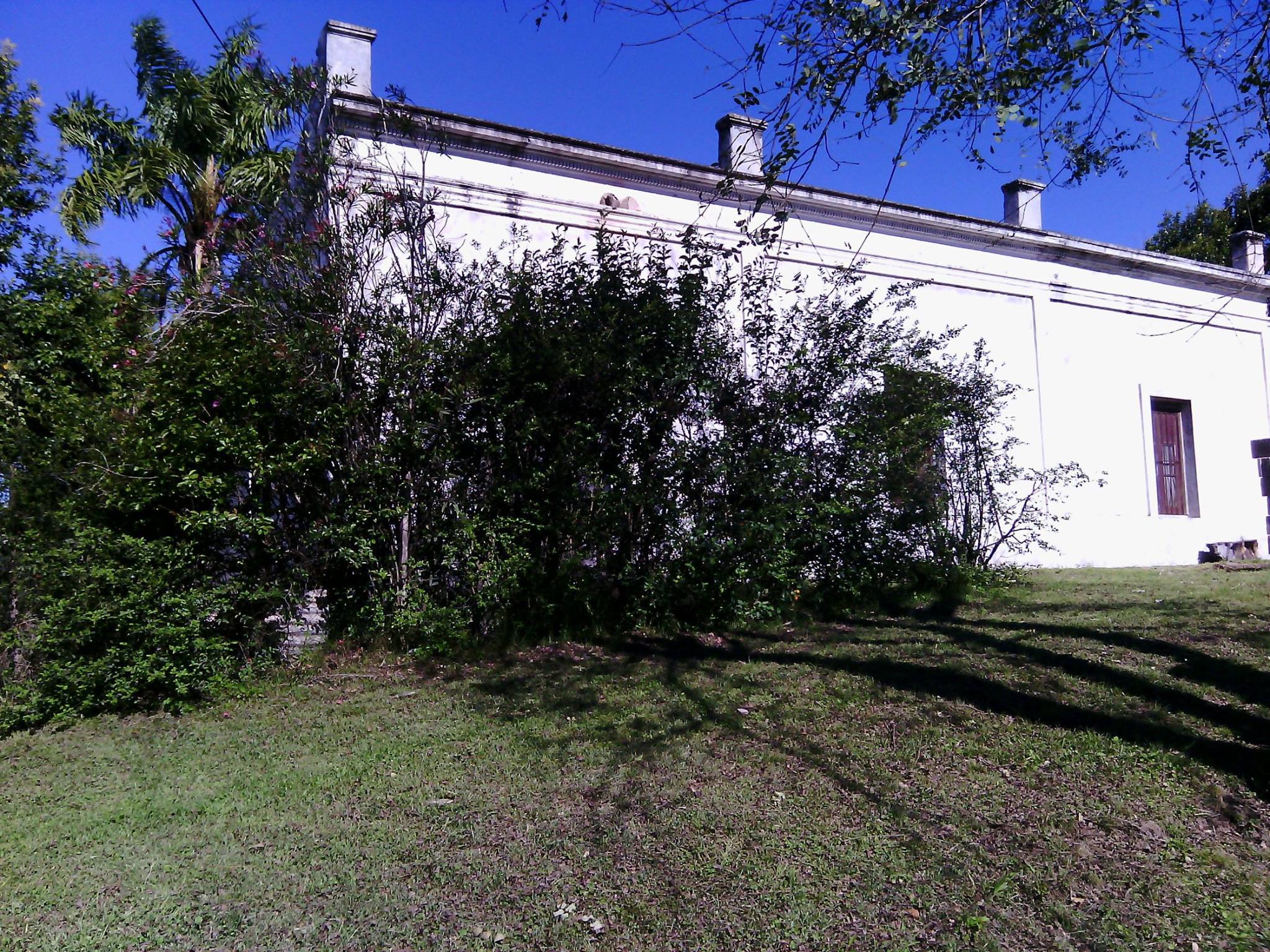 14853079_202449860182601_741592755797777910_o