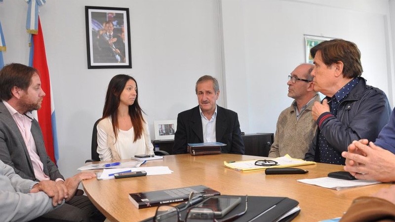 Ley de la Madera: la Asamblea Ciudadana planteó su visión al&nbsp;gobierno