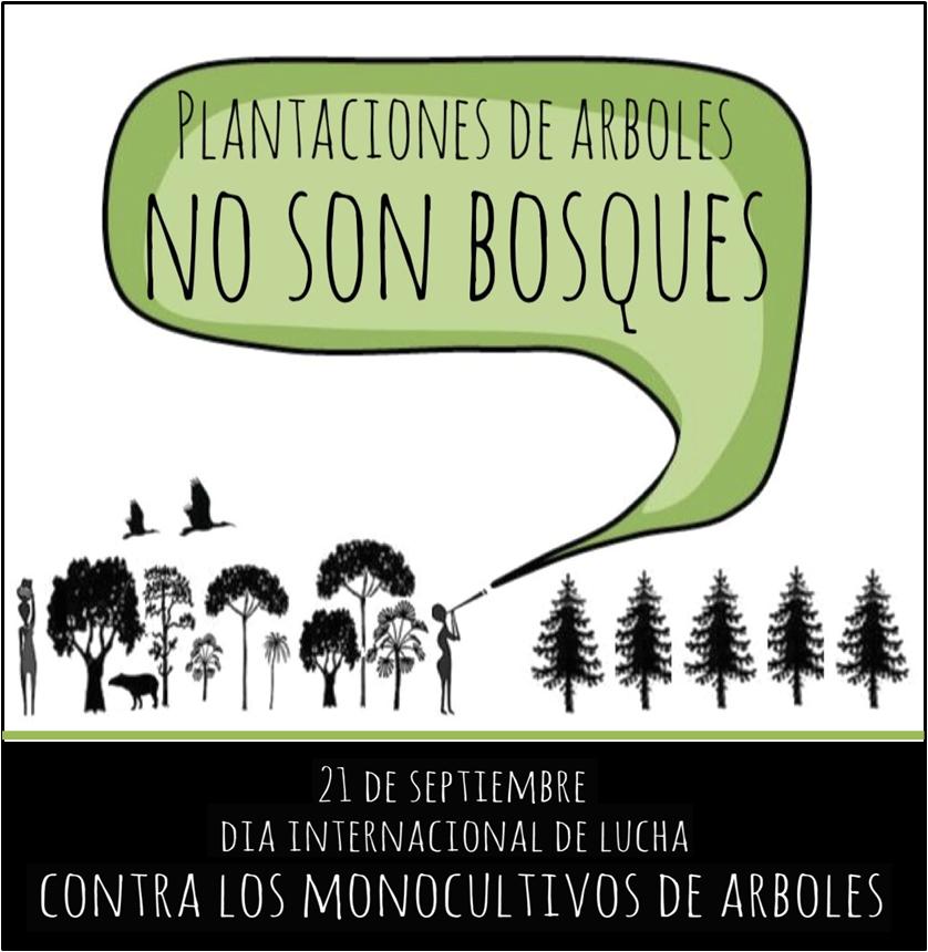 plantaciones-de-arboles