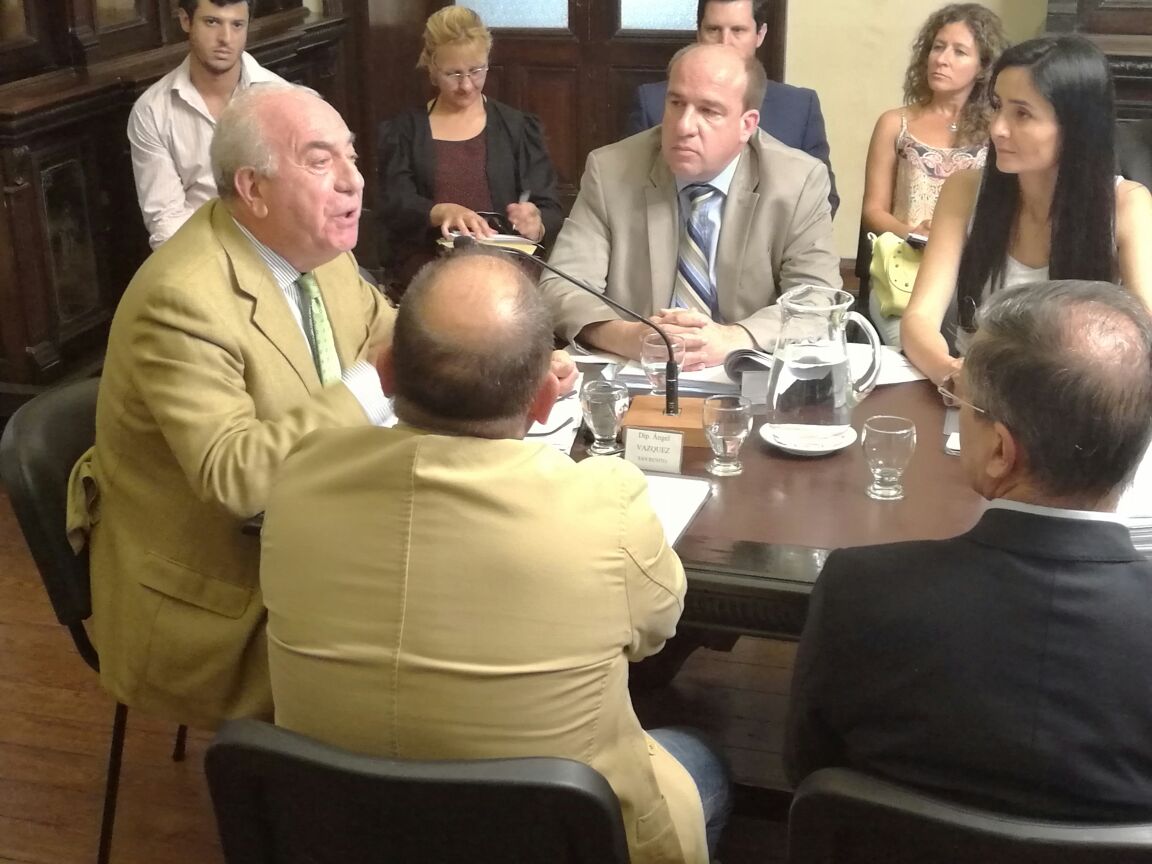 chiara-diaz-juicio-politico-reunion-en-diputados