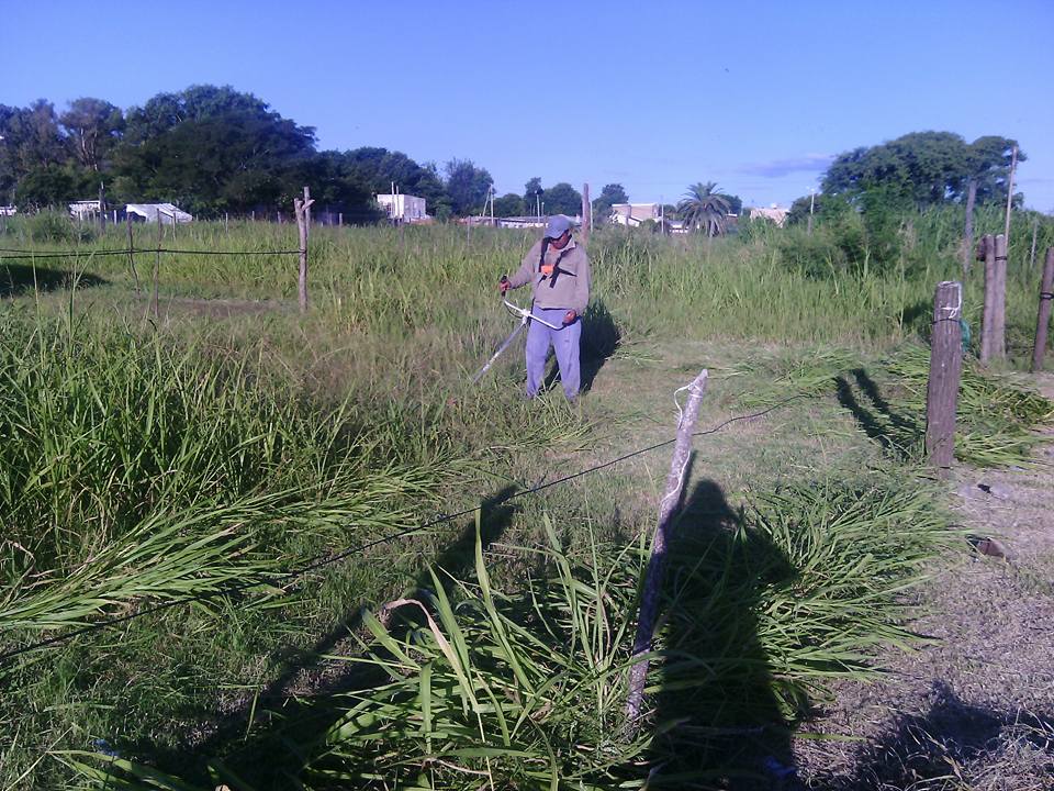 16427352_384313431926332_8199754114376008126_n