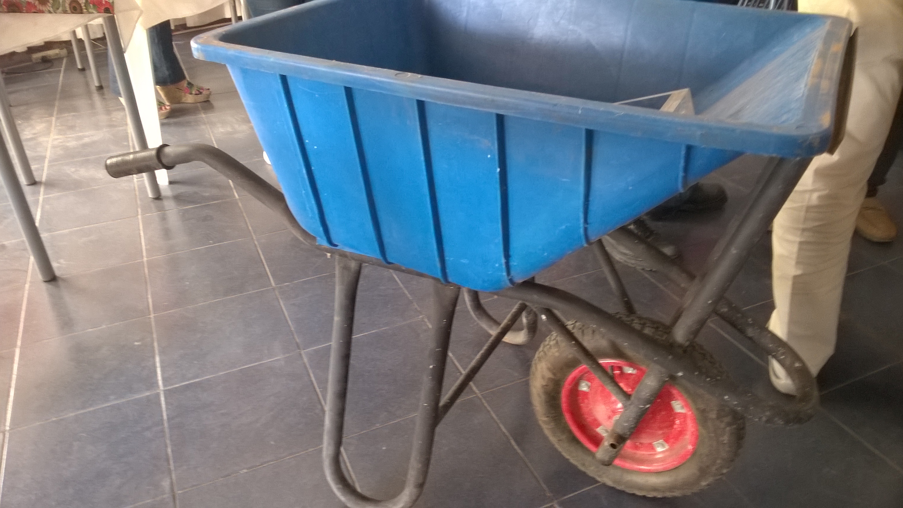 WP_20170317_015[1] (1)