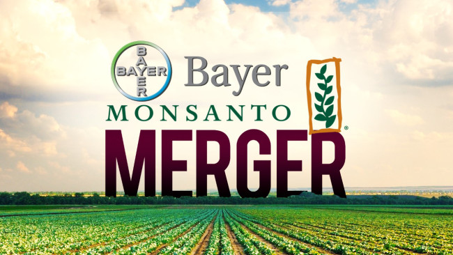 Bayer-Monsanto-merger