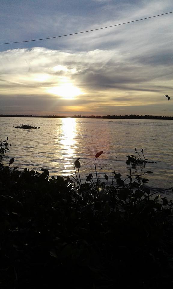 19225640_10209309842133567_6791963925805080341_n