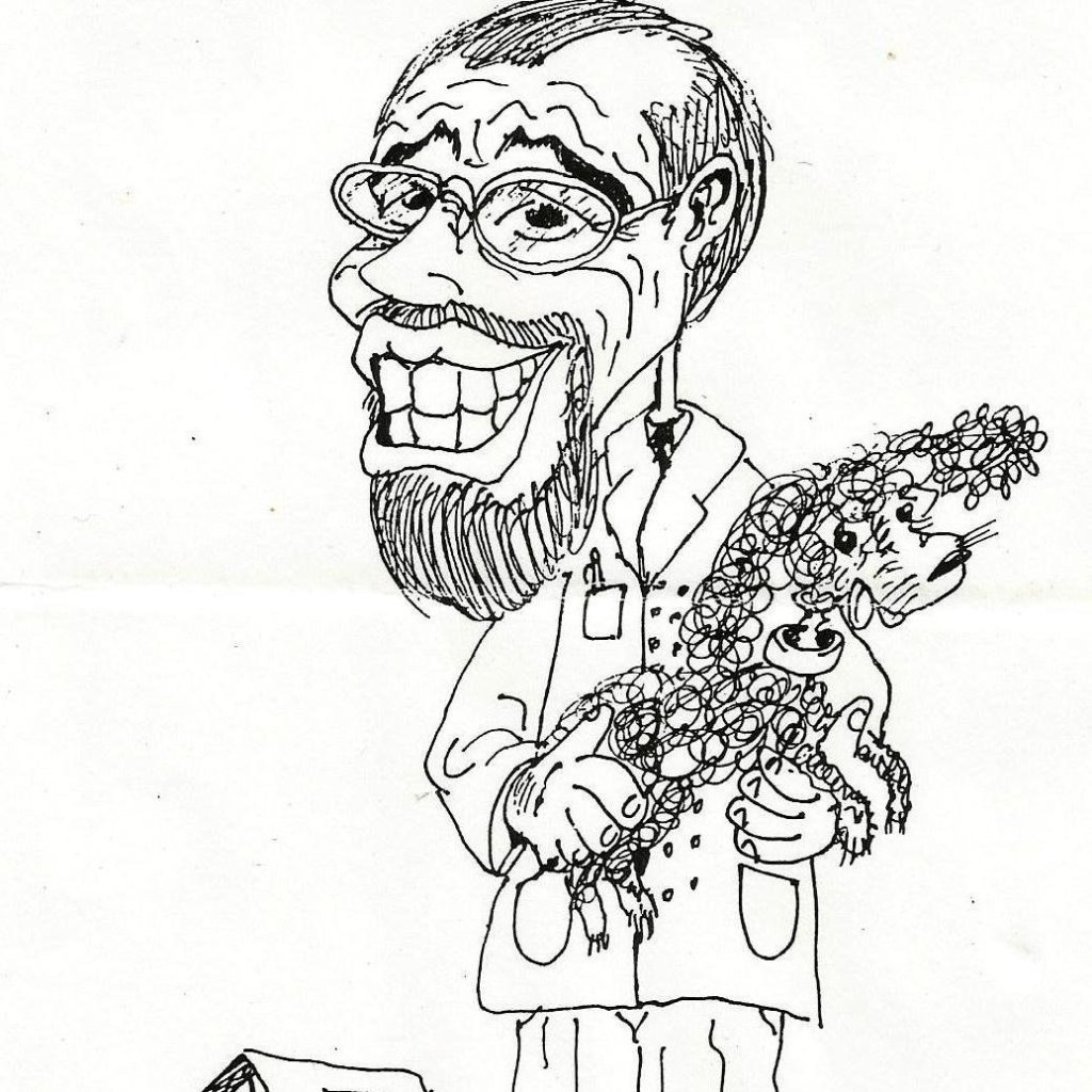 Tiempos de Banalización