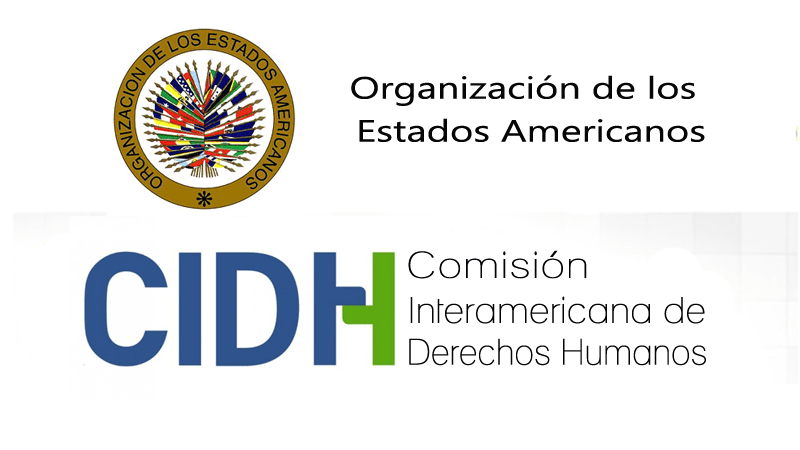 La CIDH evalúa una misión a la&nbsp;Argentina
