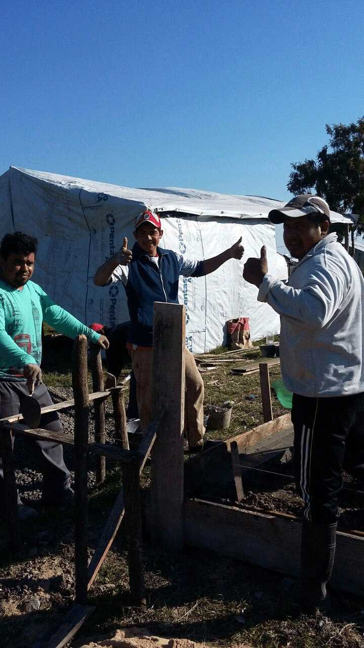 gurisito costero.png