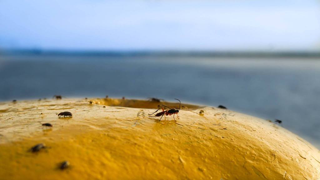 Actividades culturales para el&nbsp;finde