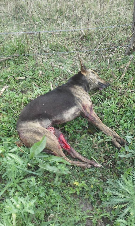 21192118_1914460528819295_1537624100101116734_n