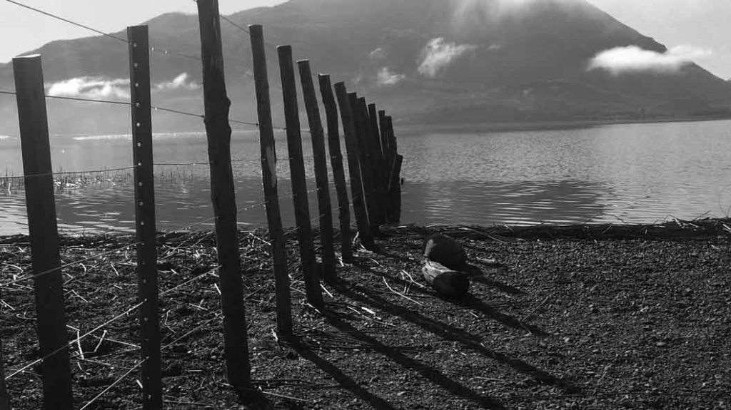 ¿Quiénes son los dueños de la&nbsp;Argentina?